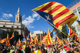 Image result for catalans universals