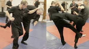 Image result for Kamon Wing Chun
