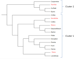 Attēlu rezultāti vaicājumam “Sanionia uncinata  sporophyte”
