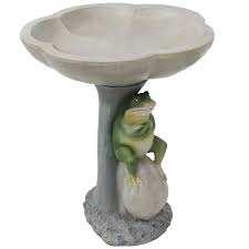 Image result for Bath Amphibians