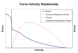 Image result for Velocity