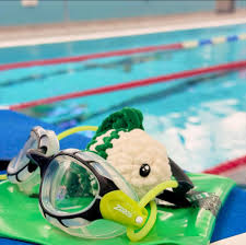 Image result for Alton & District Swimming Club