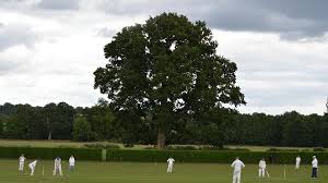 Image result for Lymm Oughtrington Park Cricket Club