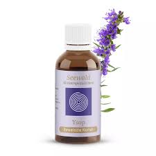 Image result for Ysop