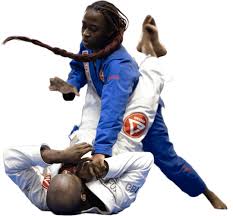 Image result for Roswell Martial Arts KA