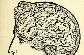 Image result for consciousness