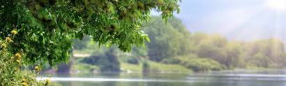 Image result for Trimpley Anglers Association
