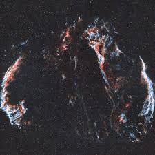 Attēlu rezultāti vaicājumam “Cygnus”