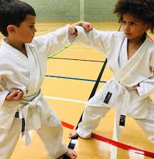 Image result for Sendai Kushiro Karate