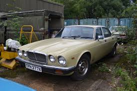 Image result for Tudor White 1982 Jaguar