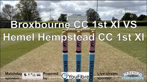 Image result for Hemel Hempstead Cc
