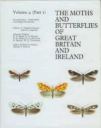 Attēlu rezultāti vaicājumam “Scythrididae”