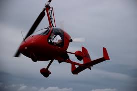 Image result for Dinas Microlight Club