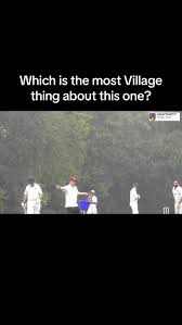 Image result for Grayshott Cricket Club