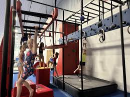 Image result for Redcar School Of Gymnastics