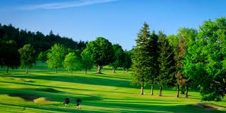 Image result for Crieff Scrabble Club