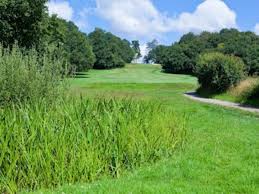 Image result for Dorking Golf Club