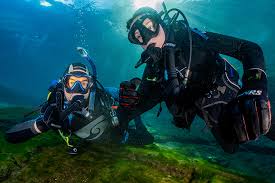 Image result for innerspace divers