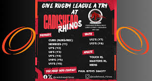 Image result for Higginshaw Arlfc