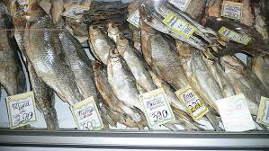 Image result for Rutilus caspicus