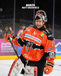 Image result for Sheffield Steelers