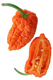 Afbeeldingsresultaat voor naga jolokia hot pepper