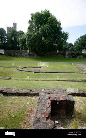 Image result for Barking Abbey Ishinryu