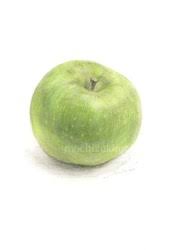 「望月麻里（マリ）」の画像検索結果