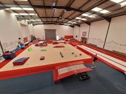 Image result for Phoenix Gymnastics