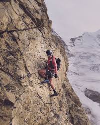 Image result for mountain top seashell