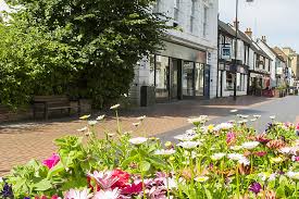 Image result for Basingstoke