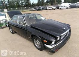 Image result for Black 1983 Jaguar