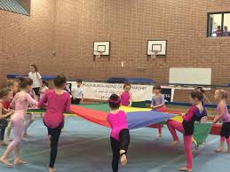 Image result for West Lothian Artistic Gymnastic Club