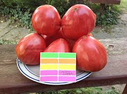 Afbeeldingsresultaat voor erdie family oxheart tomato