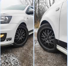 Картинки по запросу белку зажевало в диск