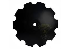 Картинки по запросу белку зажевало в диск