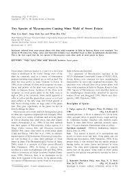 Attēlu rezultāti vaicājumam “Fuligo gyrosa spores”