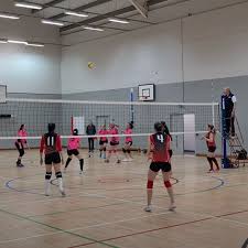 Image result for Cheltenham Cobras Volleyball Club