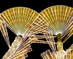 Attēlu rezultāti vaicājumam “Dianema nivale macro”