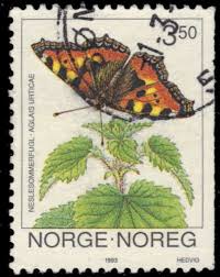 Attēlu rezultāti vaicājumam “Aglais urticae”