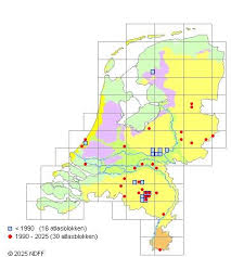 Attēlu rezultāti vaicājumam “Reticularia jurana”