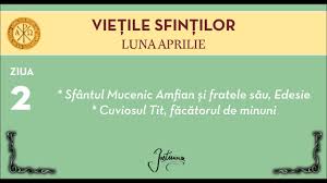 Image result for Sfântul Tit