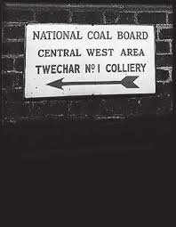 Image result for Twechar Miners` Welfare Bowling Club