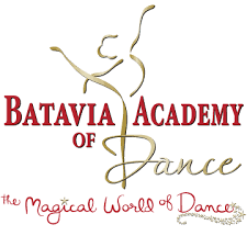 Image result for Academy Of Dance
