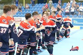 Image result for Ealing Eagles Ball Hockey Club