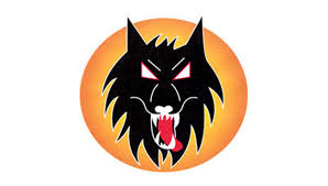 Image result for Wolverhampton Speedway