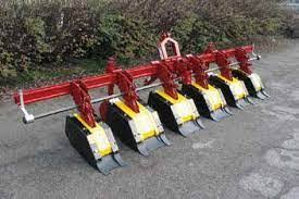 Image result for badalini tehron