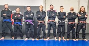 Image result for Basingstoke SMRTJ Jiu Jitsu