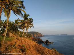 Image result for goa beaches