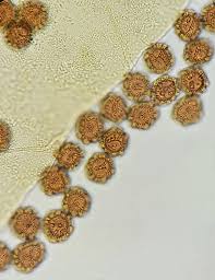 Attēlu rezultāti vaicājumam “Oligonema persimile macro”